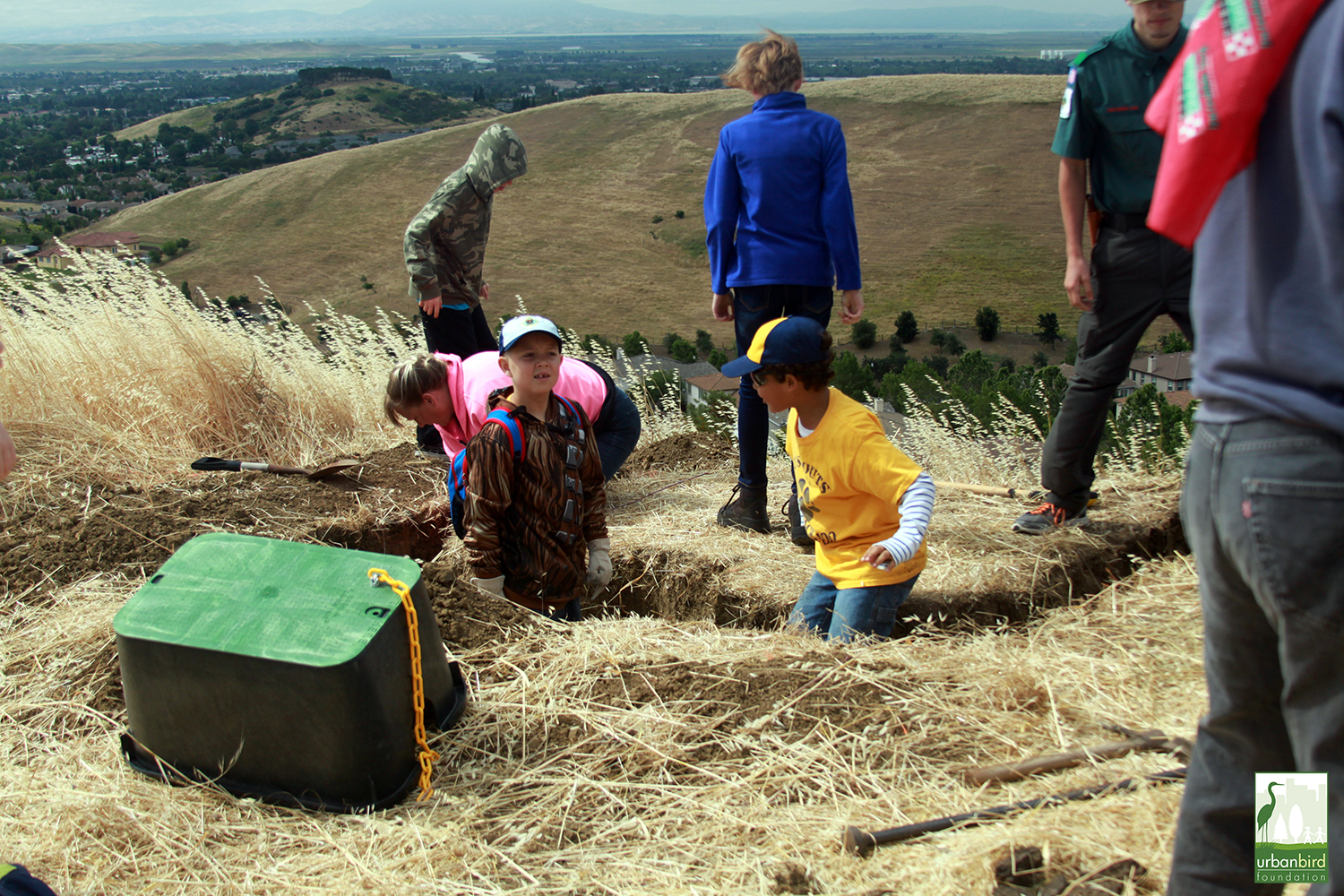 Creating Burrowing Owl Habitat – Cub Scouts join the conservation
