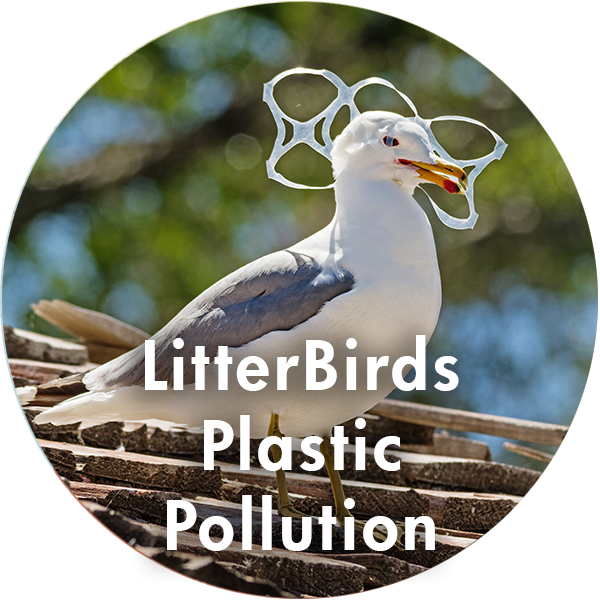 litterbirds_600x600 Urban Bird Foundation Birds. People. Communities.