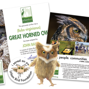 Great Horned Owl Adoption